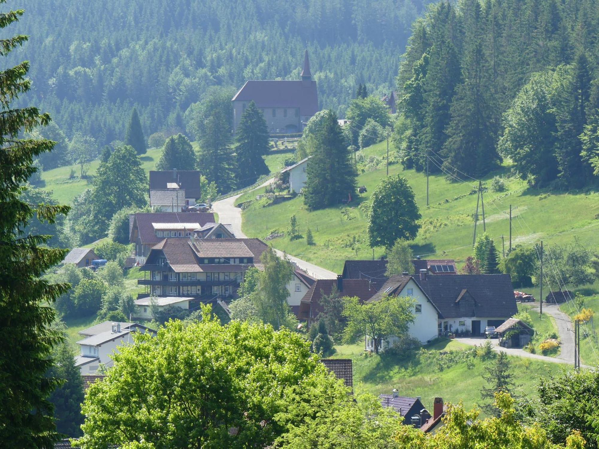 Appartamento Haus Gisela Forbach Esterno foto
