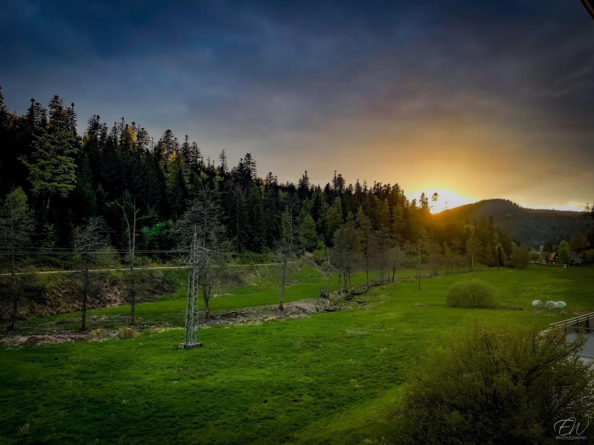 Appartamento Haus Gisela Forbach Esterno foto