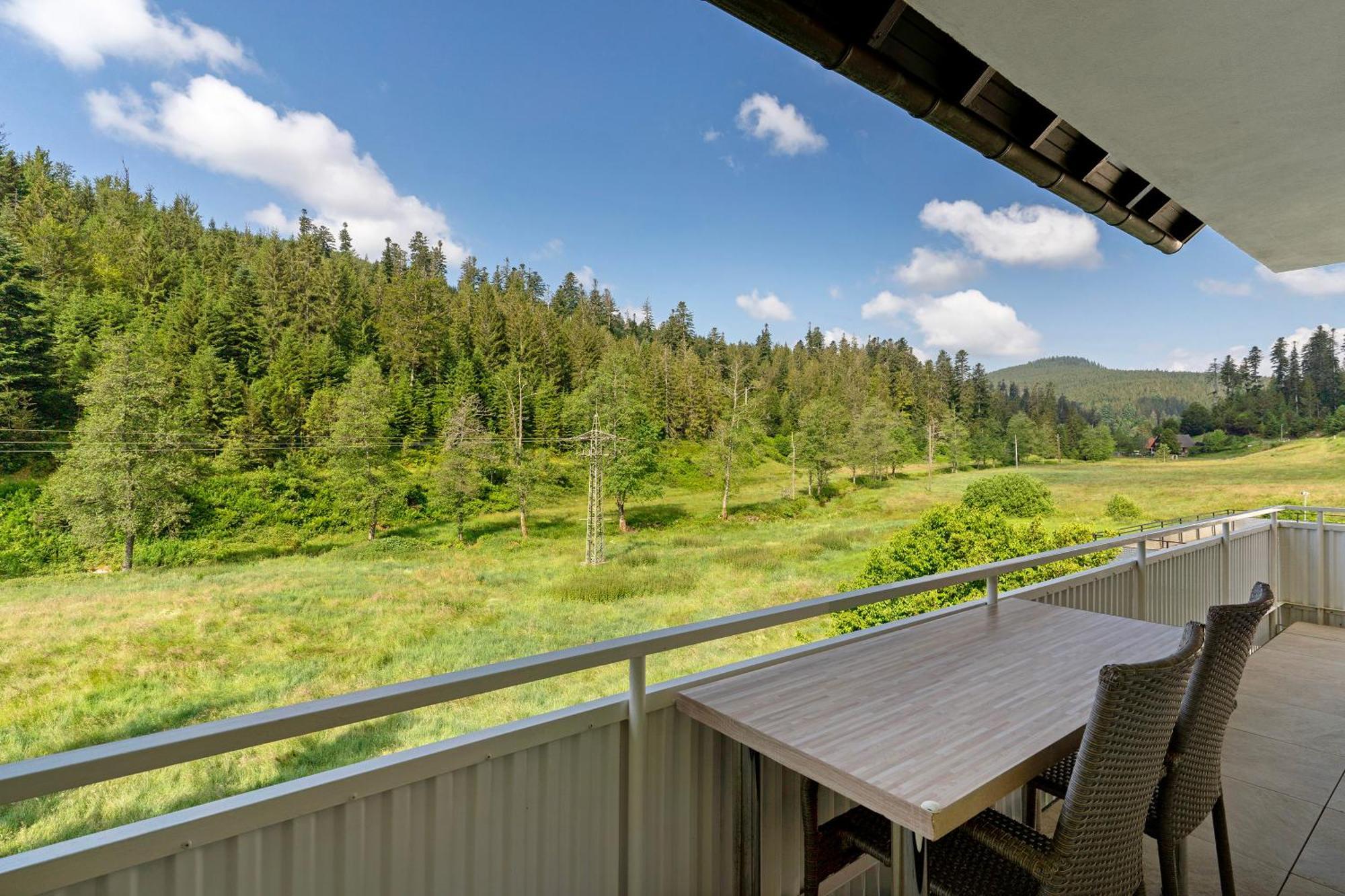 Appartamento Haus Gisela Forbach Esterno foto