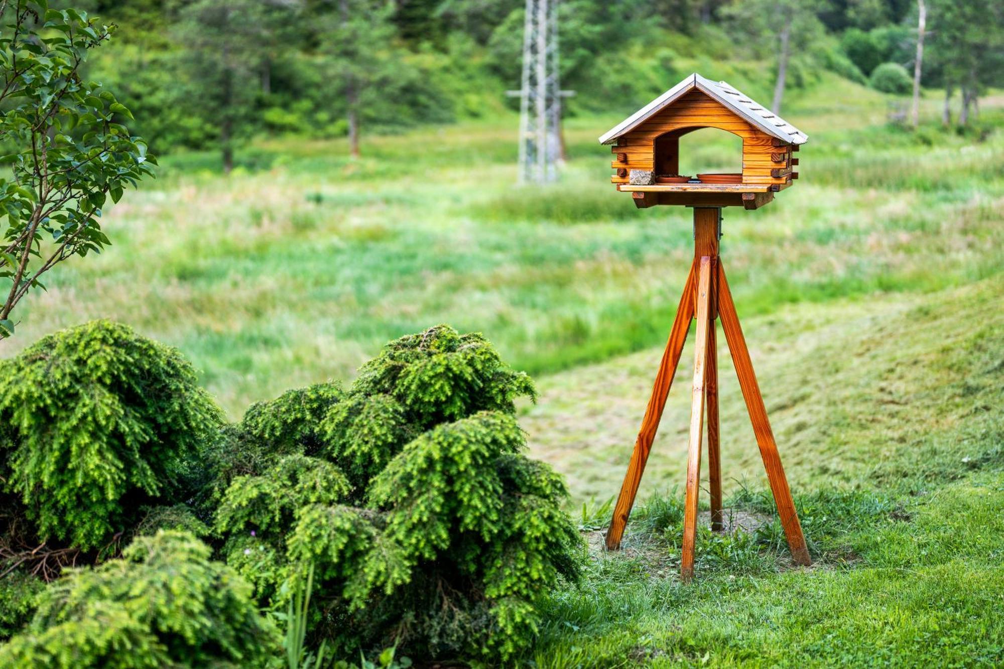 Appartamento Haus Gisela Forbach Esterno foto